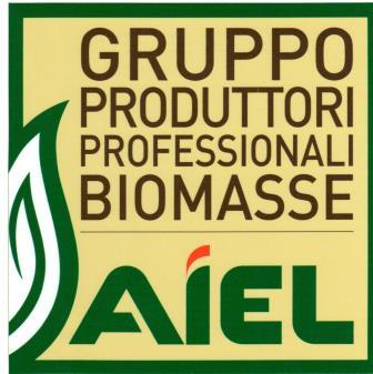 gruppo_aiel